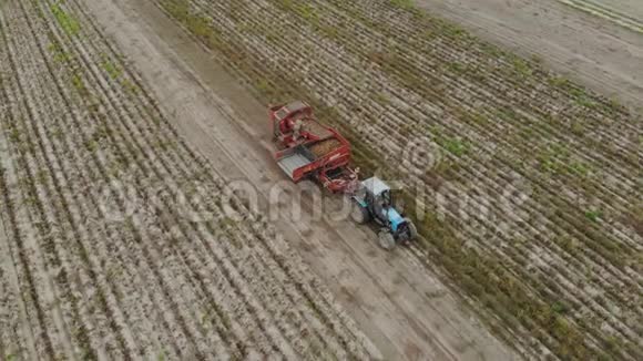 操作手扶手式马铃薯收割机在农用料斗前丢弃输送机上的杂质视频的预览图