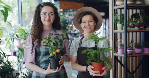 慢镜头肖像可爱的年轻女性花店站在商店与植物视频的预览图
