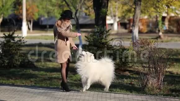 一个穿秋装的女孩在公园里训练一只狗视频的预览图