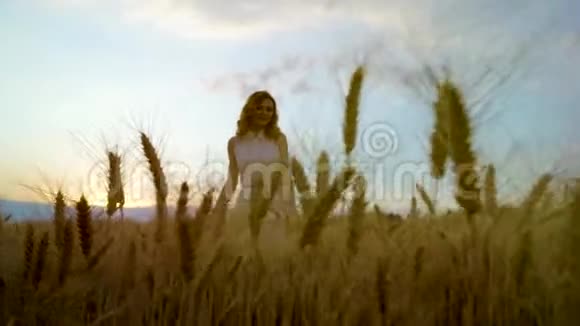 日落时分年轻浪漫的女人在成熟的麦穗上低角度拍摄视频的预览图