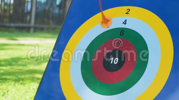 射击儿童训练目标的弓视频的预览图