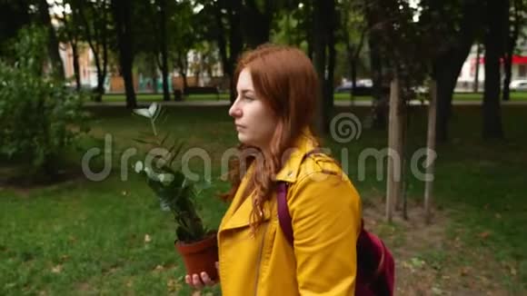 一个女孩带着一棵植物在城市里走来走去视频的预览图