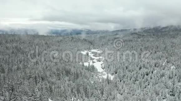 空中飞弹从左到右穿过被树木包围的雪谷视频的预览图