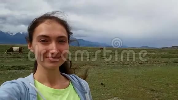 女孩在山上和吃草的奶牛的背景下在草原旅行时在相机上自拍旅行旅行视频的预览图