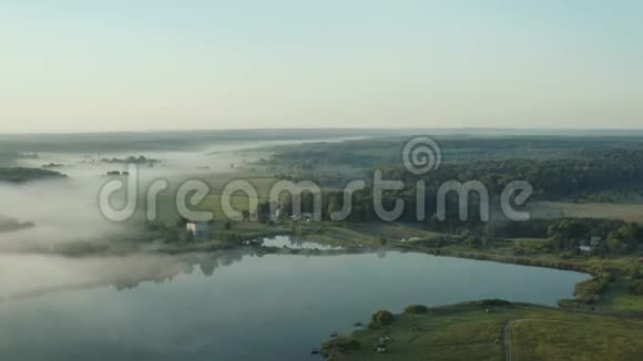 日出时分在夏日的雾中飞过湖面和森林视频的预览图