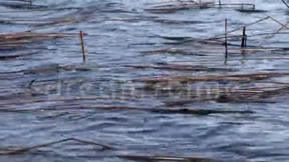 在风中大浪的湖面上视频的预览图