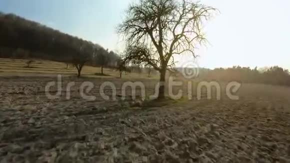 FPV无人驾驶飞机在农村的树木之间快速机动飞行并在日落时进行动力循环视频的预览图