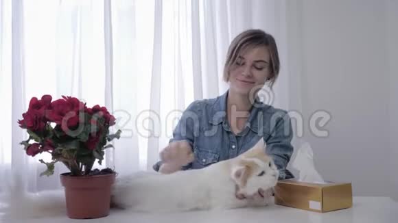 过敏的皮毛成年女孩玩猫打喷嚏和用手帕擦拭因为绒毛宠物在房间视频的预览图