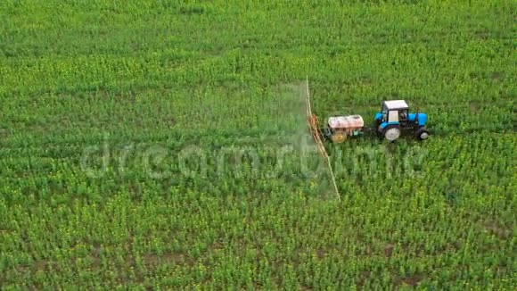 拖拉机在油菜地农业植物上喷洒化肥的鸟瞰图视频的预览图