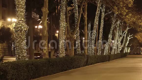 巴库大道树木上的新年花环视频的预览图