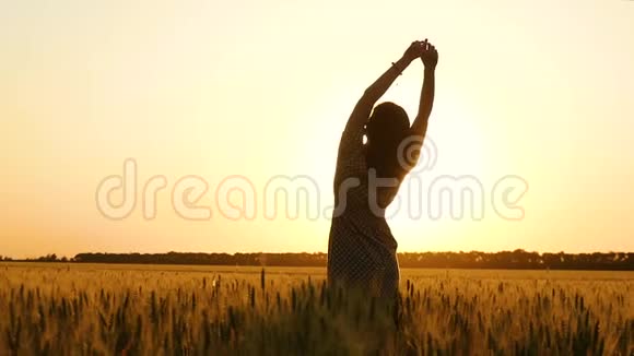 日落时女孩的剪影一个年轻的女人站在金色的麦田里举起双手女人在旋转视频的预览图