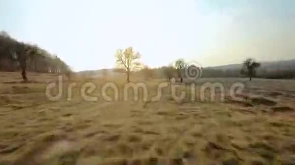 在日落时分FPV无人驾驶飞机在乡村的树木之间快速机动飞行视频的预览图