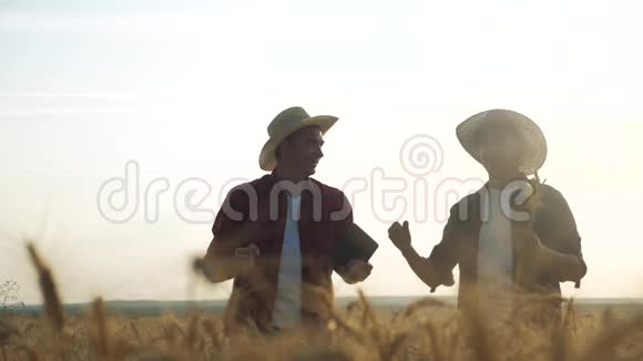 农业耕作两个农民成功胜利团队红脖子在一片田野检查小麦作物在日落男性视频的预览图