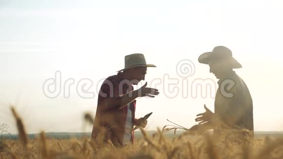 两名农民在日落时分在一块田里集体握手红脖子检查小麦作物男农民握手视频的预览图
