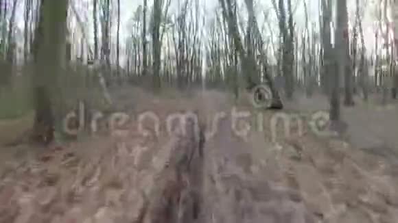FPV无人驾驶飞机在早春快速机动穿越森林视频的预览图