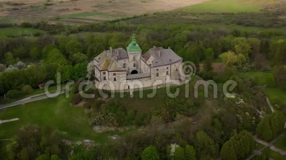 乌克兰春季奥列斯基城堡及周边景观的鸟瞰图视频的预览图