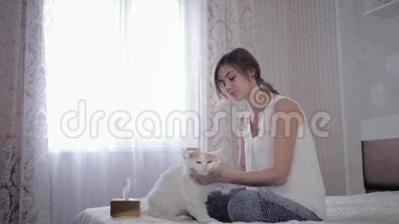 皮毛过敏美丽的女性在床上玩猫患呼吸道疾病的病原体打喷嚏和打喷嚏视频的预览图