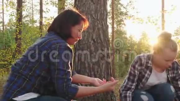 妈妈和女儿十几岁的孩子在日落景观上的松树上摘锥妈妈和女儿一起收集视频的预览图