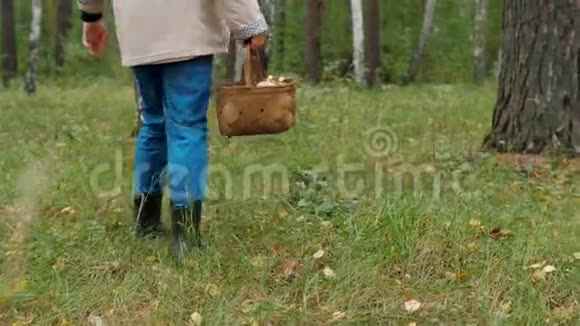 带着篮子的蘑菇采摘者穿过秋林寻找蘑菇视频的预览图