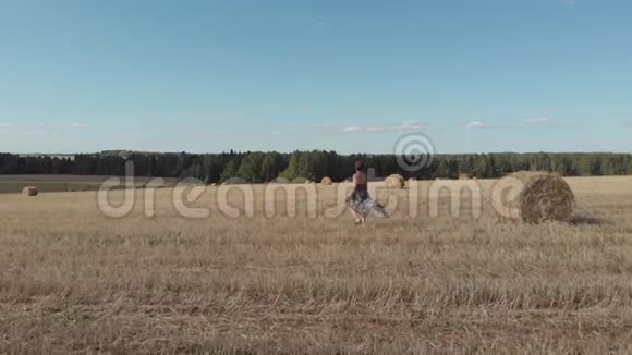 在收割的麦子里穿裙子的年轻女子视频的预览图