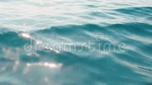 蓝色水面有柔软的波浪深蓝色的大海海浪在阳光下闪闪发光视频的预览图