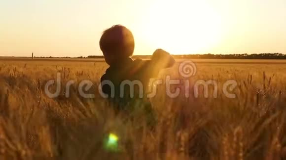 一个小男孩跑过麦田体验情感快乐快乐快乐农业概念视频的预览图