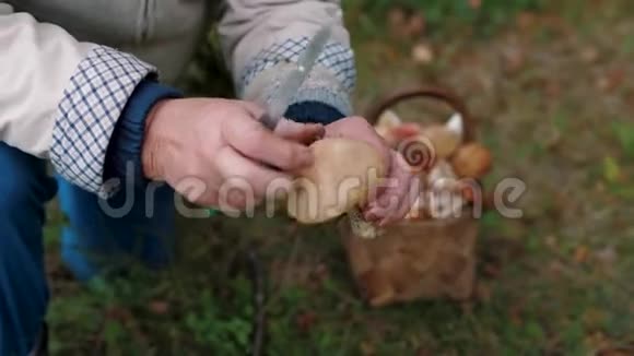 女用手拿刀清洗蘑菇放入篮子视频的预览图