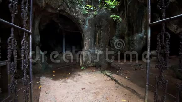 越南TamCoc比希东塔洞穴入口视频的预览图