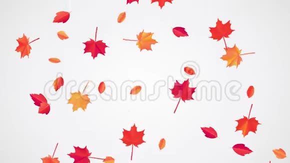 秋天落叶动画视频的预览图