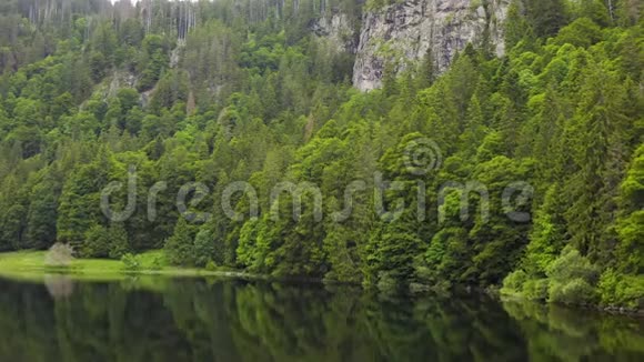 在湖面上飞向绿色的森林和岩石悬崖水中的森林倒影美丽的空中景观视频的预览图