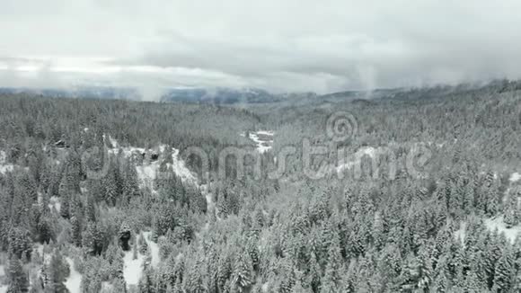 多云间阴天鸟瞰图在被树木包围的雪谷飞行视频的预览图