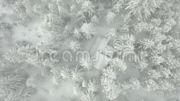4k鸟瞰下降在被树木包围的雪屋上方近景拍摄视频的预览图