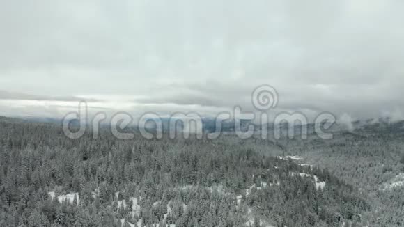 从白雪皑皑的大树上向覆盖着雄伟山脉的云层飞去视频的预览图
