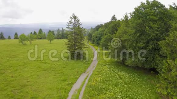 沿着徒步旅行的小路前方的空中覆盖着绿色的草地覆盖着鲜花和松树德国黑森林坏坏坏坏视频的预览图