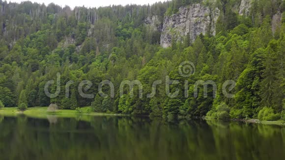 在湖面上飞向绿色的森林和岩石悬崖水中的森林倒影美丽的空中景观视频的预览图