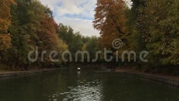 秋天的公园里有五颜六色的叶子和公园里的一个池塘秋天池塘的全景视频的预览图