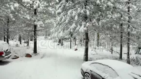 从白雪覆盖的汽车停到俯瞰白雪覆盖的森林视频的预览图