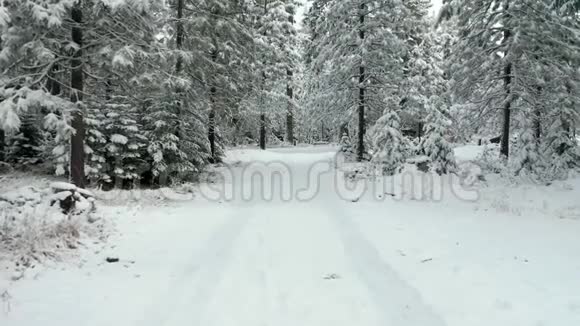在森林里的雪道上沿着轮胎轨迹缓慢移动4k鸟瞰视频的预览图