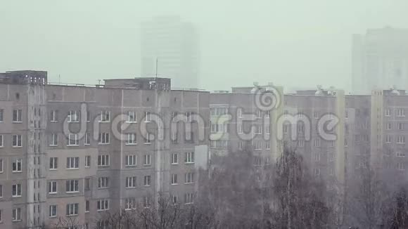 城市背景下的大雪和有鸟巢的树木视频的预览图