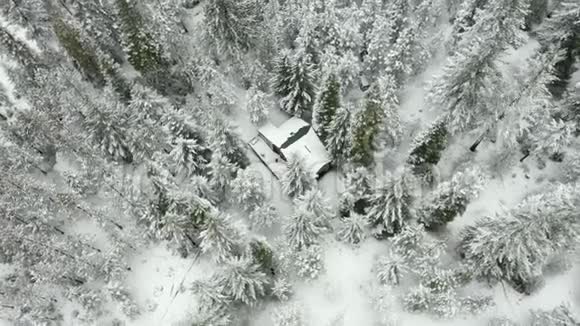 空中长视频绕着被雪树包围的小屋视频的预览图