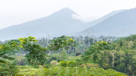 印度尼西亚巴厘岛热带景观4K时差往山上看视频的预览图