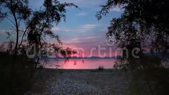 日落时穿过树木的加利利海视频的预览图