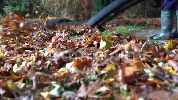 用花园鼓风机清理小径上的秋叶万向节运动视频的预览图