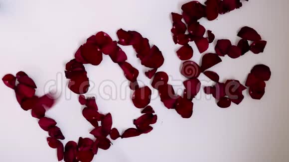 爱的宣言世界爱情是玫瑰做的视频的预览图