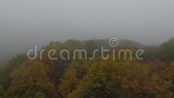 鸟瞰朦胧的秋林医生的录像视频的预览图