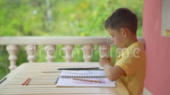 可爱的小男孩在他的绿色自然背景专辑中画画视频的预览图