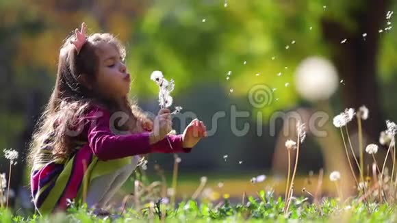 快乐的女孩在秋天公园吹蒲公英愿望梦想游戏时间视频的预览图