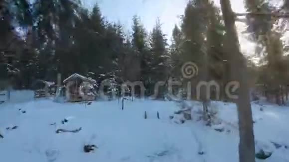 鸟瞰周围的云杉和雪景树木之间是用来放松的芳香飞射无人驾驶飞机视频的预览图