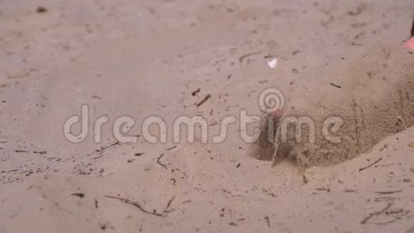 沙滩上的人手中的沙瀑布在缓慢的运动中手里拿着肮脏的沙子视频的预览图