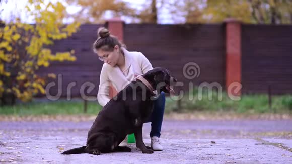一个年轻的女人用特殊的刷子梳一只脱落的狗以去除多余的头发视频的预览图